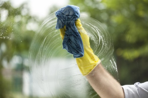 Removing pet stains and smells from carpets in Isleworth
