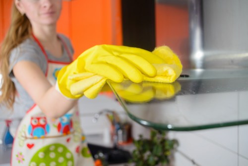 Electrical and chemical safety precautions during cleaning