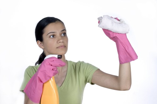 Steam carpet cleaning for family homes in Isleworth