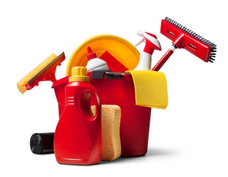 Cleaning specialist discussing service details and access requirements